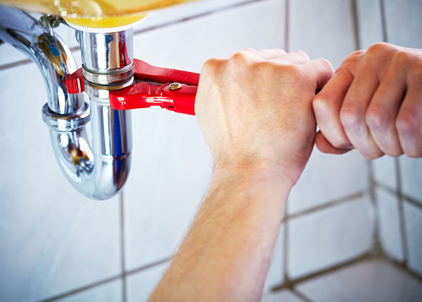About Alledonia Plumbers